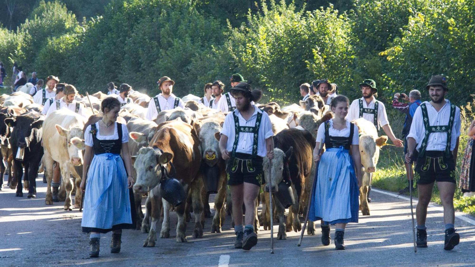 Fewo "Staufner Domizil" Oberstaufen Buitenkant foto